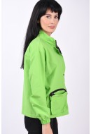 Jacheta Dama Only Play Onpmolina Sulphur Spring